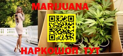 индика Краснознаменск